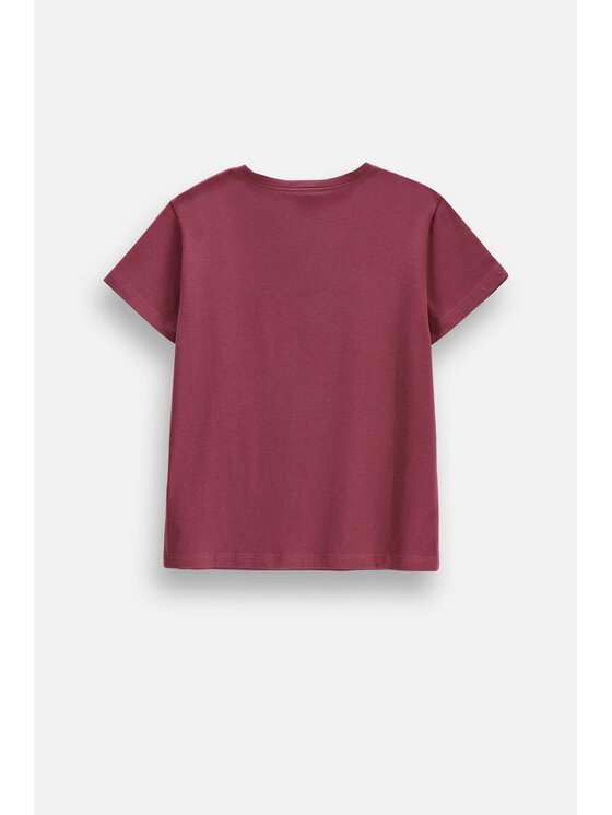 Coccodrillo Coccodrillo T-Shirt ZC6143207VGA-017 Bordowy Regular Fit