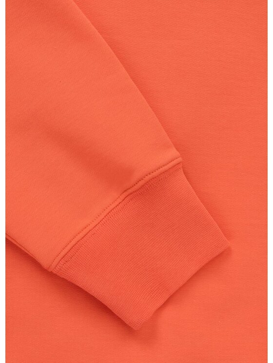 PITBULL PITBULL Bluza SMALL LOGO NUGGET Pomarańczowy Regular Fit