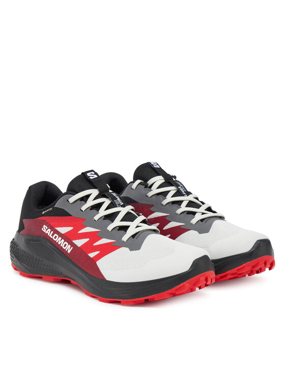 Salomon Salomon Jooksujalatsid Alphaglide Gore-Tex L47802200 Hall