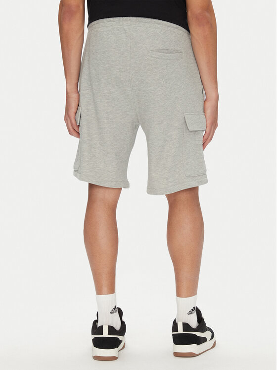 DC DC Спортивні шорти Millenia ADYFB03075 Сірий Baggy Fit
