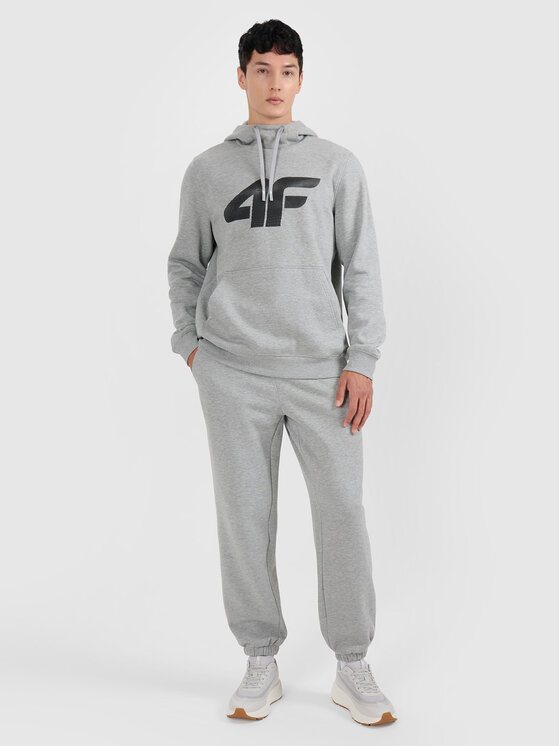 4F 4F Spodnie dresowe NOS Szary jasny Regular Fit
