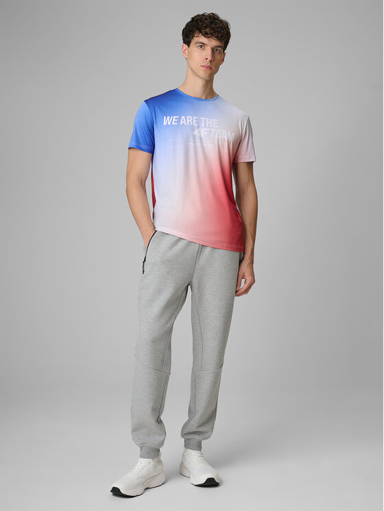 4F 4F T-Shirt TEAMWEAR Kolorowy Regular Fit