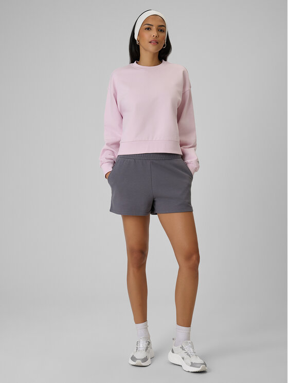 4F 4F Športové kraťasy ESSENTIAL 4 Sivá Regular Fit