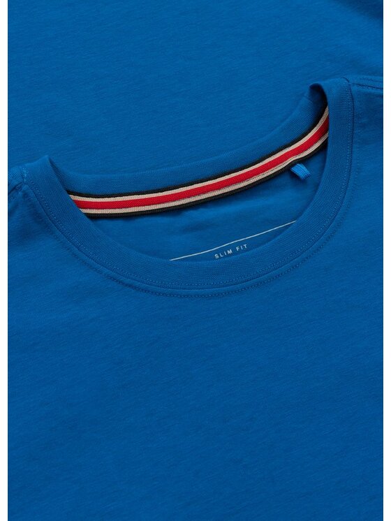 PITBULL PITBULL T-Shirt Koszulka męska Slim Fit SAN DIEGO CA SMALL LOGO L Niebieski Regular Fit
