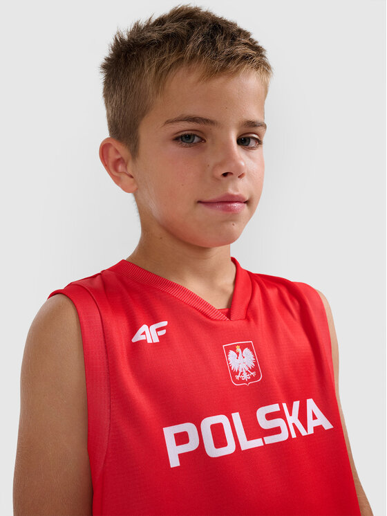 4F 4F Koszulka techniczna TEAMWEAR Kolorowy Regular Fit