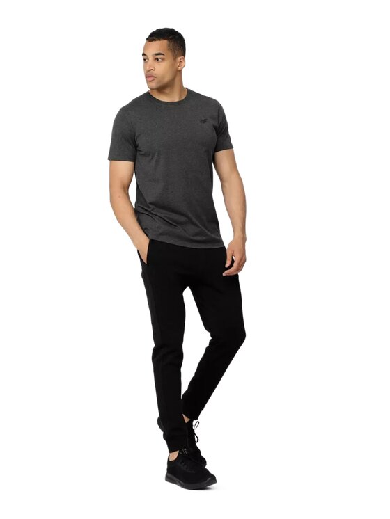4F 4F T-Shirt H4Z22-TSM352 Szary Regular Fit