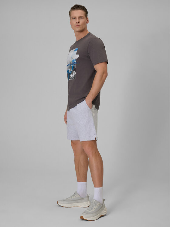 4F 4F Szorty sportowe CITY Szary jasny Regular Fit