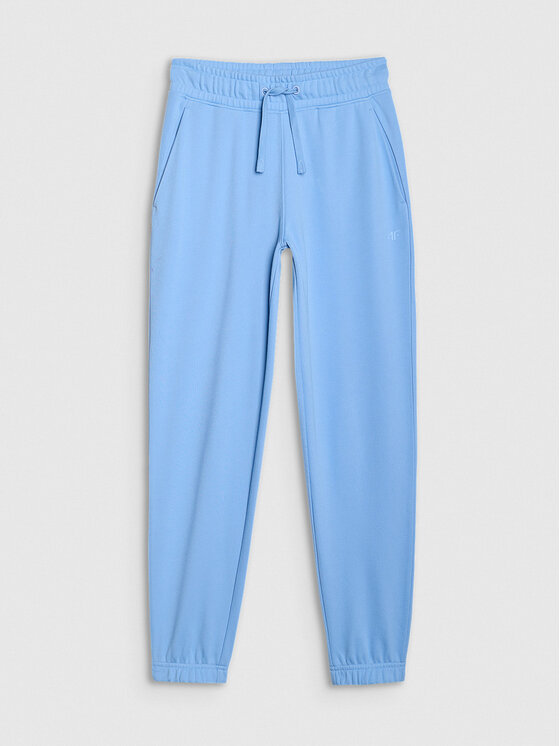 4F 4F Spodnie dresowe NOS Regular Fit