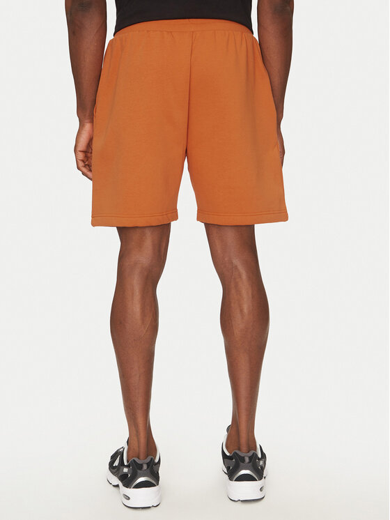 The North Face The North Face Športne kratke hlače Nse Box NF0A8C1J Rjava Regular Fit