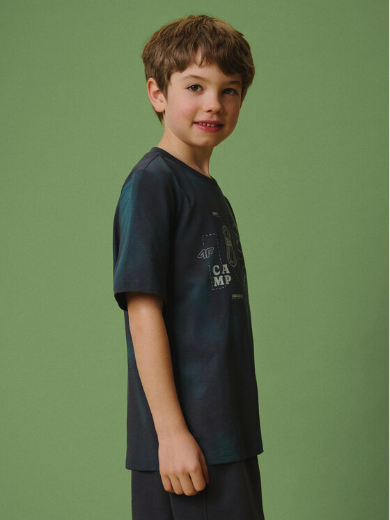 4F 4F T-Shirt ENJOY THE OUTDOORS Kolorowy Regular Fit