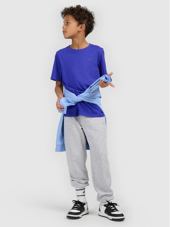 4F 4F T-Shirt BASIC+ Niebieski Regular Fit