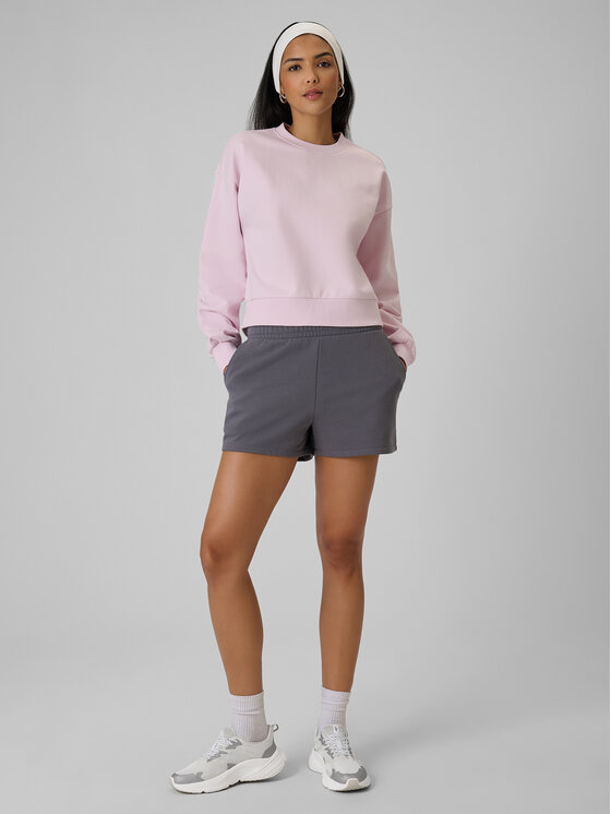 4F 4F Szorty sportowe ESSENTIAL 4 Szary Regular Fit