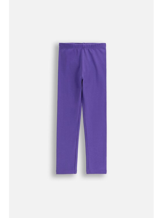 Coccodrillo Coccodrillo Legginsy ZC5122601VGA-016 Fioletowy