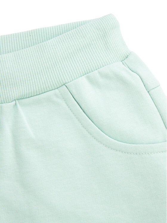 Coccodrillo Coccodrillo Szorty sportowe WC5120401VGC Zielony Regular Fit