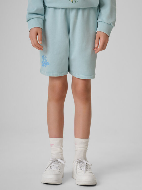 4F 4F Szorty sportowe SUMMER SPLASH Niebieski Loose Fit