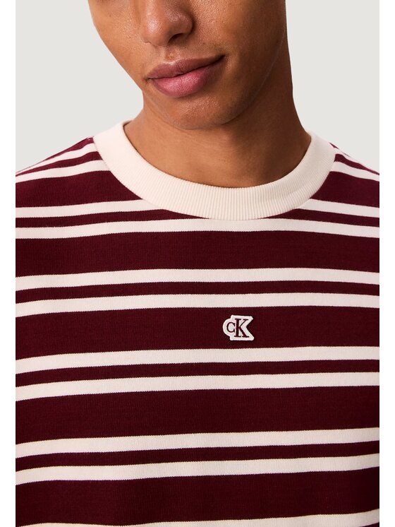Calvin Klein Jeans Calvin Klein Jeans T-shirt SS HVYWT STRIPE JERS Rosso Casual Fit