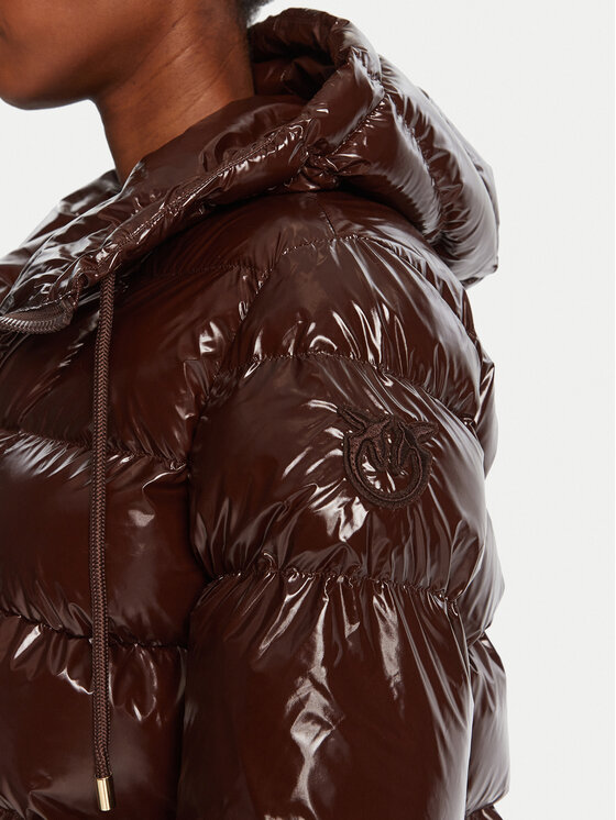 PINKO PINKO Winterjacke Eleodoro 101597 A2P7 Braun Regular Fit
