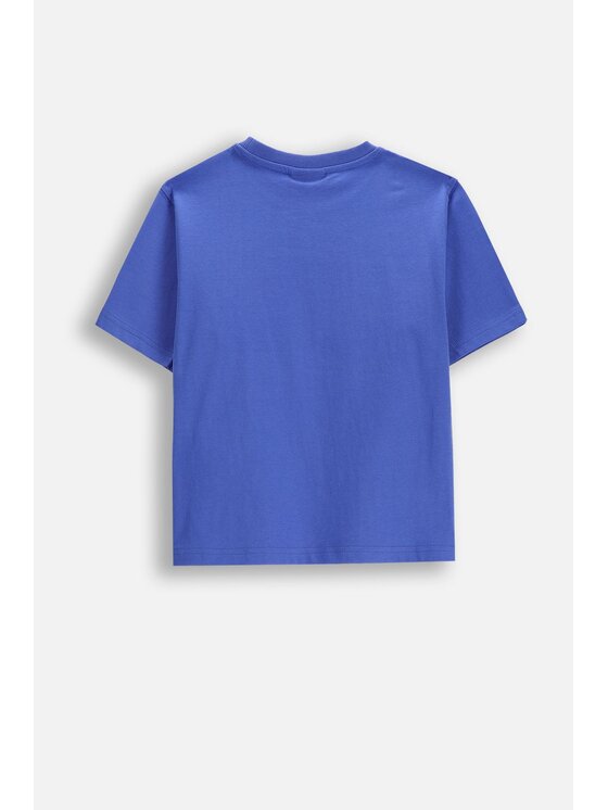 Coccodrillo Coccodrillo T-Shirt WC6143205HBK-014 Niebieski Regular Fit