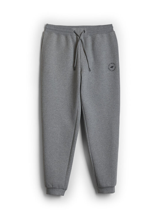 4F 4F Spodnie dresowe CITY FORM Szary Regular Fit