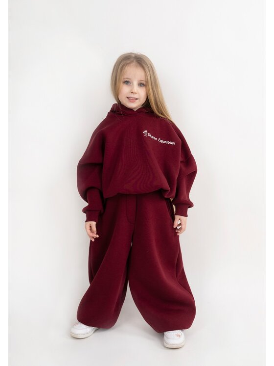 DKaren Sport DKaren Sport Komplet bluza i spodnie materiałowe EQ-K-B27 001 Bordowy Balloon Fit