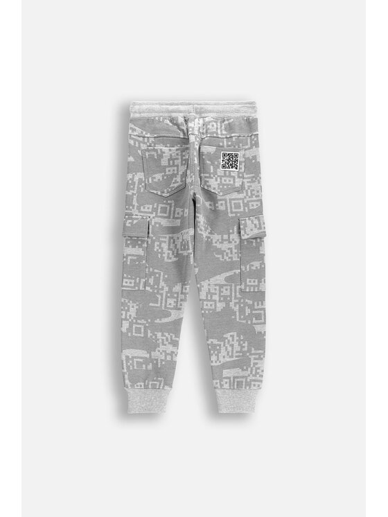Coccodrillo Coccodrillo Spodnie dresowe WC5120101GBK-019 Szary Regular Fit