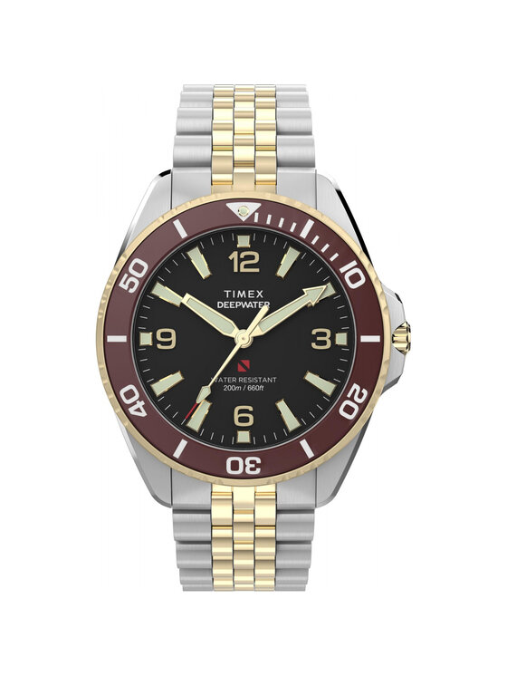 Timex Timex Hodinky TW2Y64700 Stříbrná