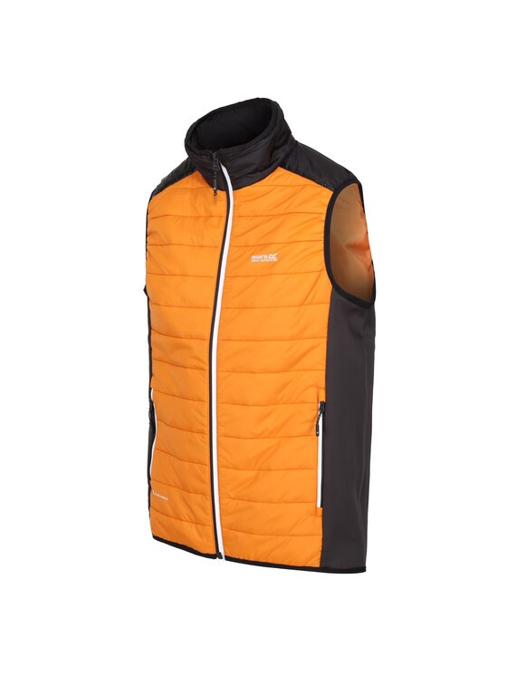Regatta Regatta Kurtka outdoor Halton VII Pomarańczowy Ergonomic Fit