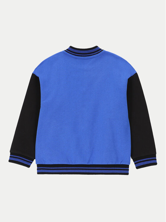 Coccodrillo Coccodrillo Mikina ZC4132601FBK Barevná Regular Fit