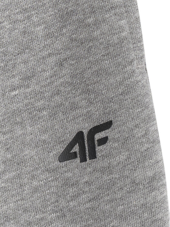 4F 4F Spodnie dresowe BASIC+ Szary Regular Fit