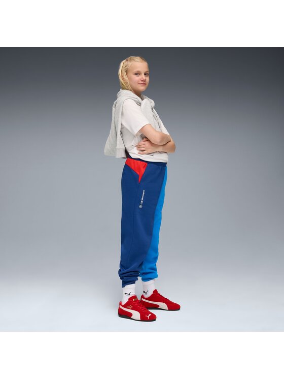 Puma Puma Spodnie dresowe 632965 Niebieski Regular Fit