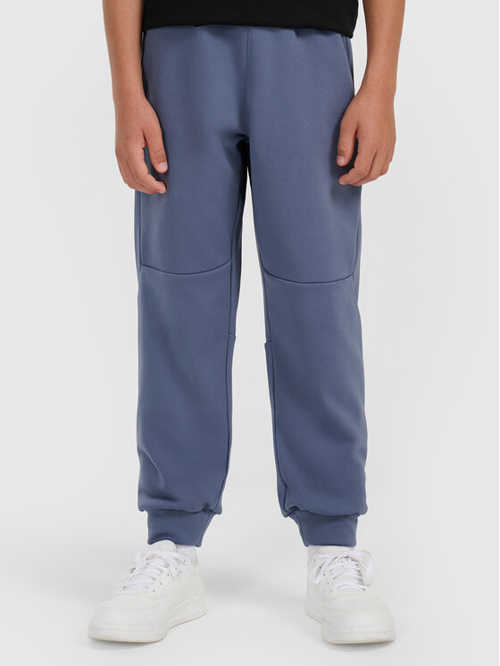 4F 4F Spodnie dresowe APRES SKI Regular Fit