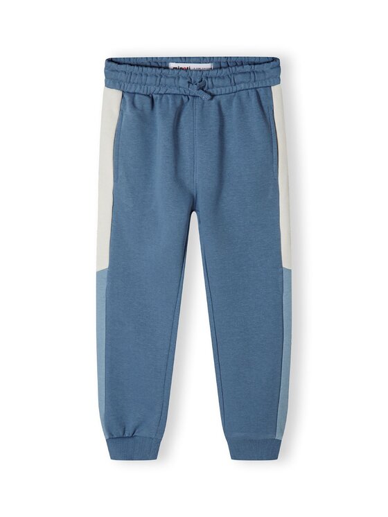 minoti minoti Bluza 23fleece200 Niebieski Regular Fit