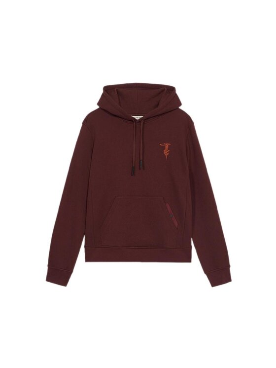 Trussardi Trussardi Felpa G8078200033N036 Marrone Regular Fit