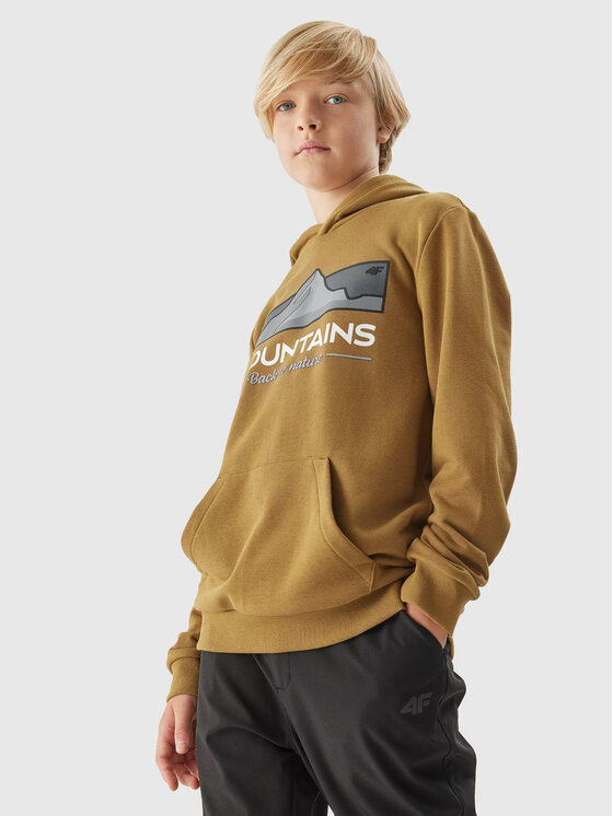 4F 4F Bluza 4FJAW23TSWSM634 Brązowy Regular Fit