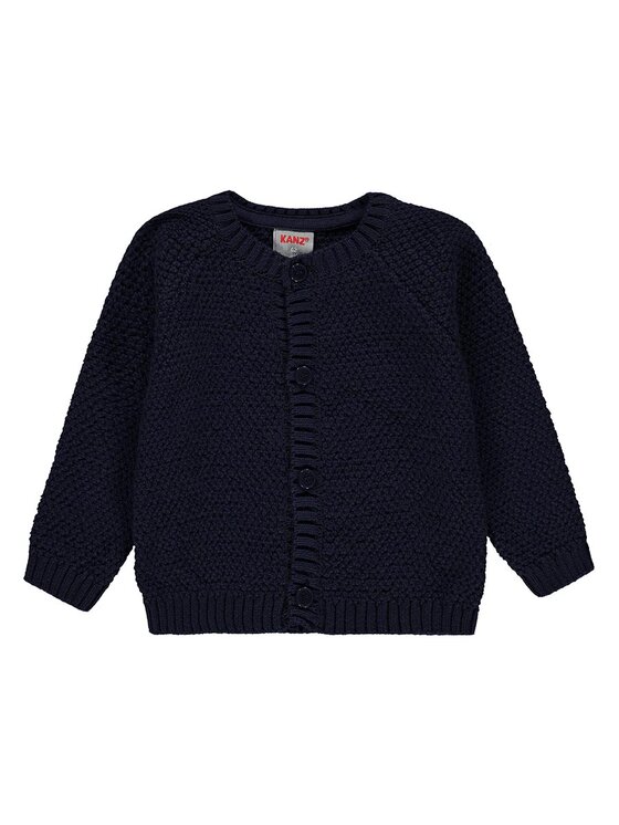 Kanz Kanz Bluza 2122607-3043 Niebieski Basic Fit