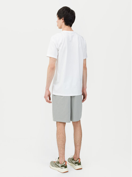 4F 4F Спортни шорти 4FWSS24TSHOM330 Сив Regular Fit