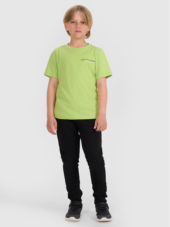4F 4F T-Shirt URBAN COMMUTER Zielony Regular Fit