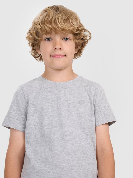 4F 4F Tričko 4FJWMM00TTSHM2330-25M Sivá Regular Fit