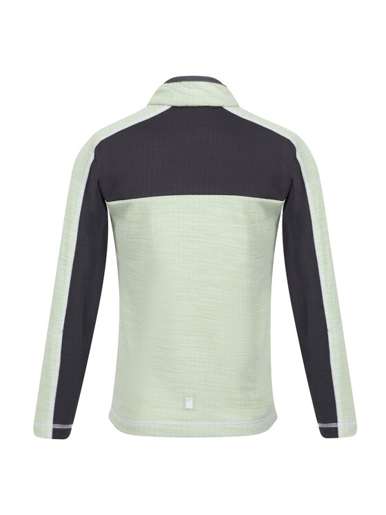 Regatta Regatta Polar Hewley Zielony Long Fit
