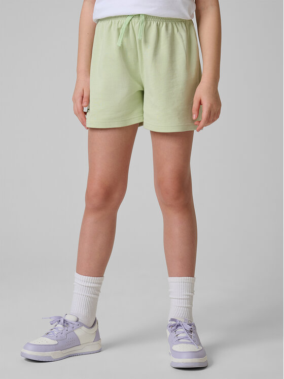 4F 4F Szorty sportowe JELLIFICATION Turkusowy Regular Fit
