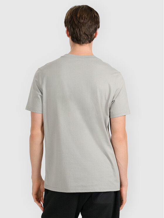 4F 4F T-Shirt APRES SKI Szary Regular Fit