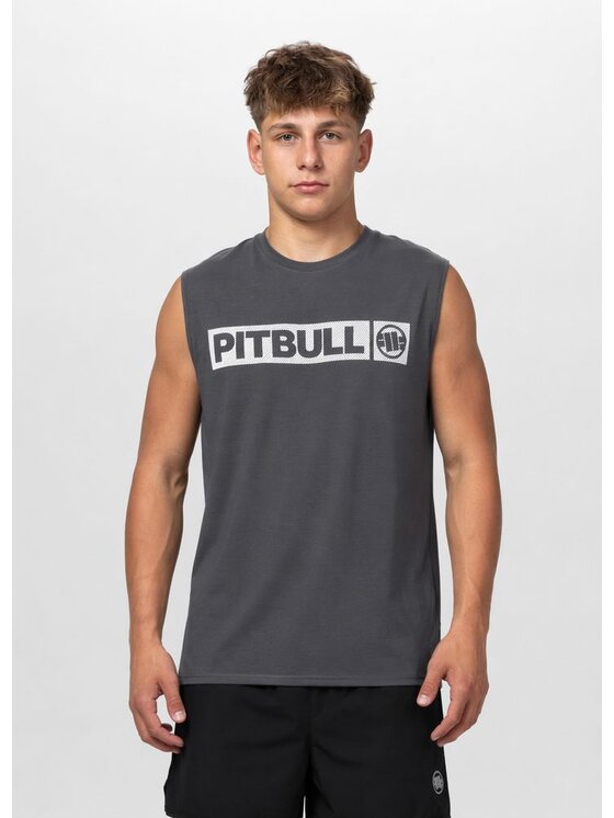 PITBULL PITBULL Koszulka techniczna Casual Sport HILLTOP Szary Regular Fit