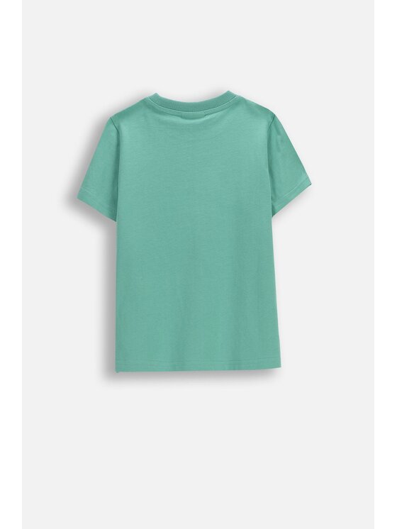 Coccodrillo Coccodrillo T-Shirt WC6143235VBA-011 Zielony Regular Fit