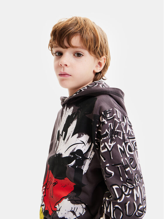 Desigual Desigual Džemperis ar kapuci 23WBTK04 Pelēks Regular Fit