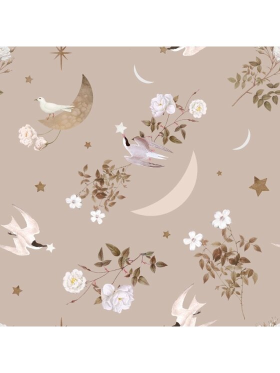 Tapeta Dekornik, Birds in The Night Sky