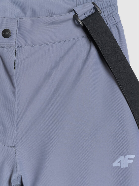4F 4F Spodnie narciarskie BASIC SKI Szary Regular Fit