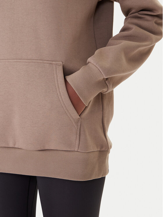 The North Face The North Face Sweatshirt Simple Dome NF0A89EY Braun Regular Fit