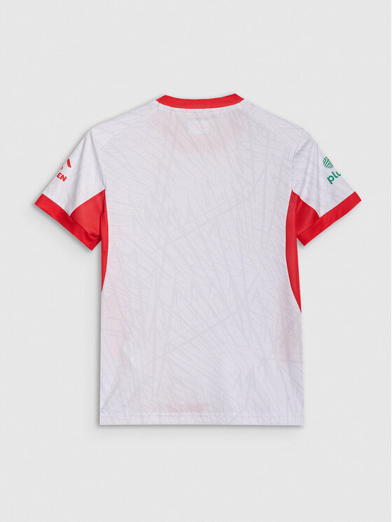 4F 4F Koszulka techniczna TEAMWEAR Kolorowy Regular Fit