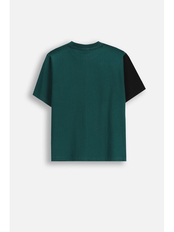 Coccodrillo Coccodrillo T-Shirt ZC5143201ABJ-022 Kolorowy Regular Fit