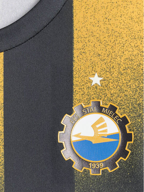 4F 4F Koszulka techniczna TEAMWEAR Kolorowy Regular Fit